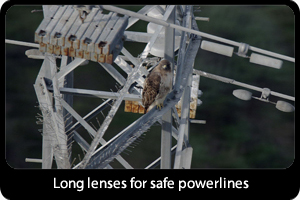 Long Lenses for safe powerlines